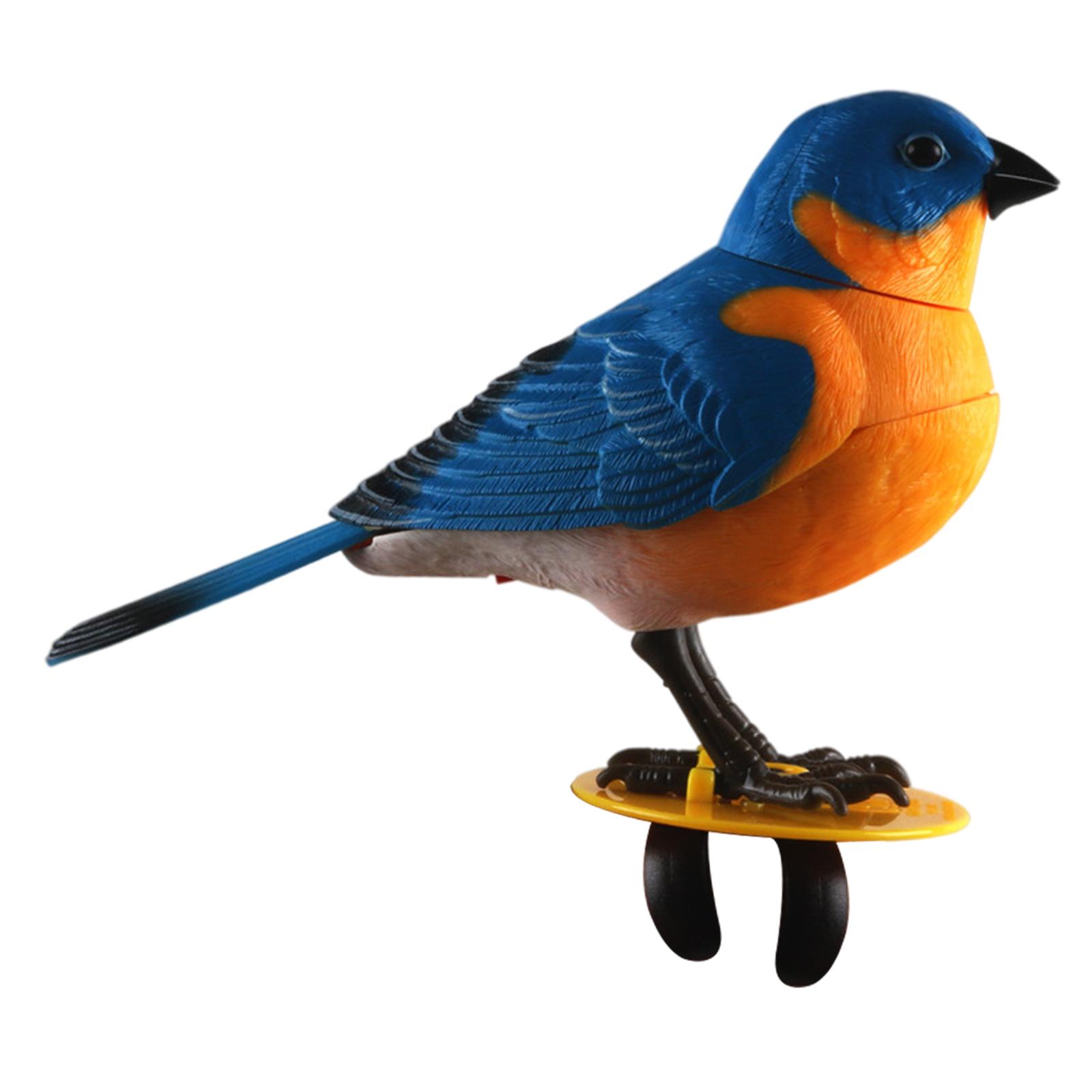 Talking Parrot Toy
