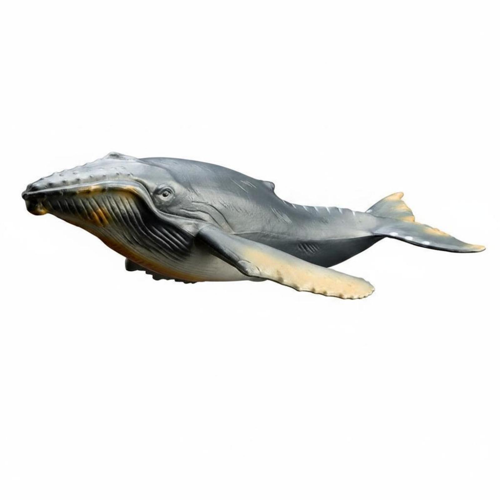 Realistic Animal Model Educational Marine Mammal Toy Screen