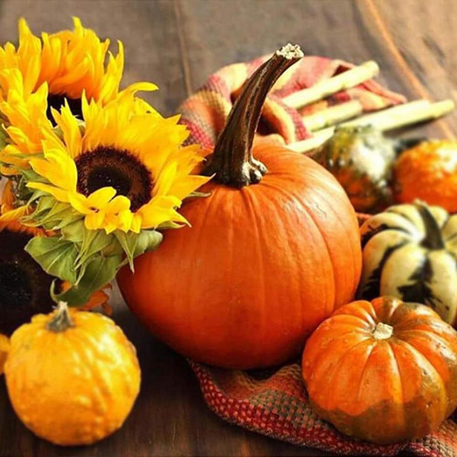 96Pcs Artificial Pumpkins Shelf Foam Pumpkins for Thanksgiving Party Harvest