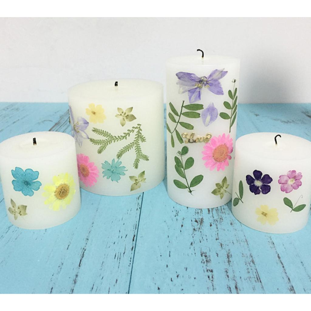 2x12 Pack Pressed Leaves Natural Dried Flowers for Scrapbooking Card making