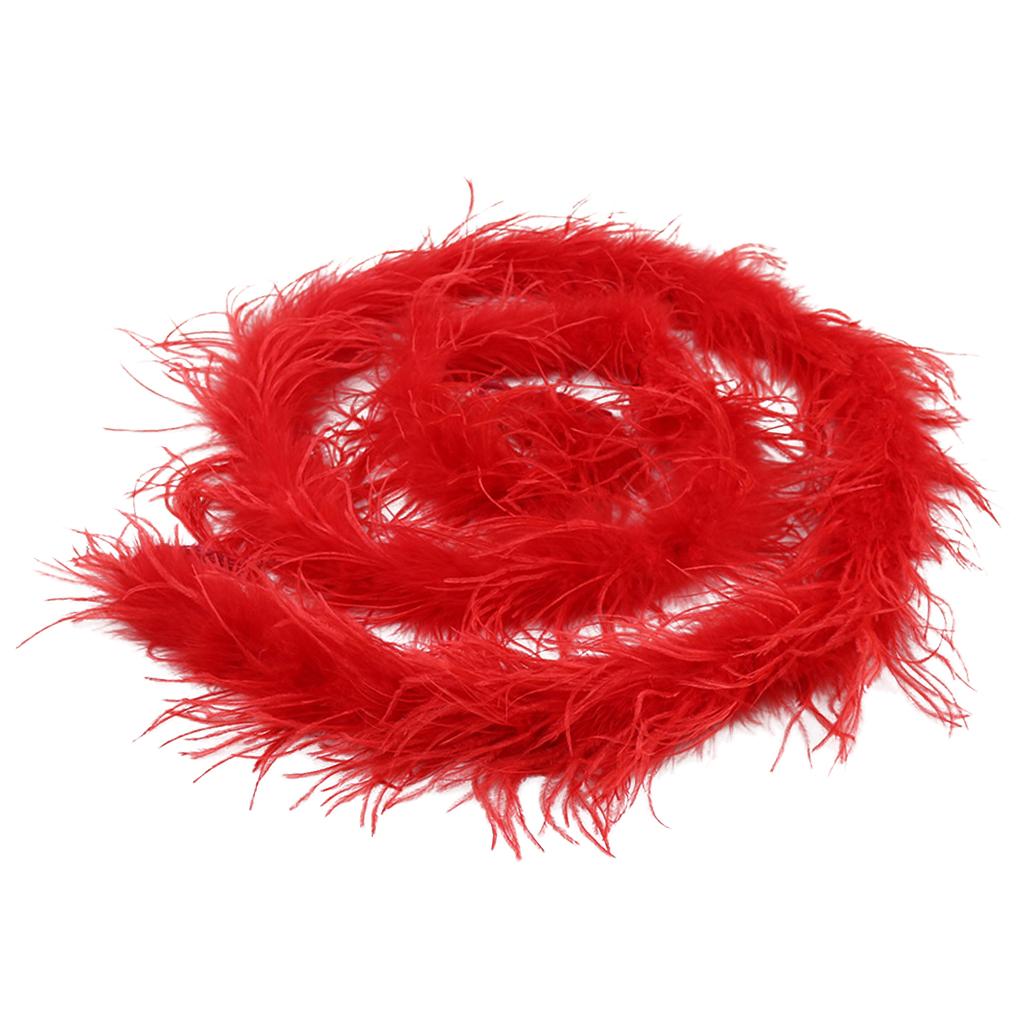 2m Ostrich Feather Boa Burlesque Fancy Dress Hen Party Makeup ...