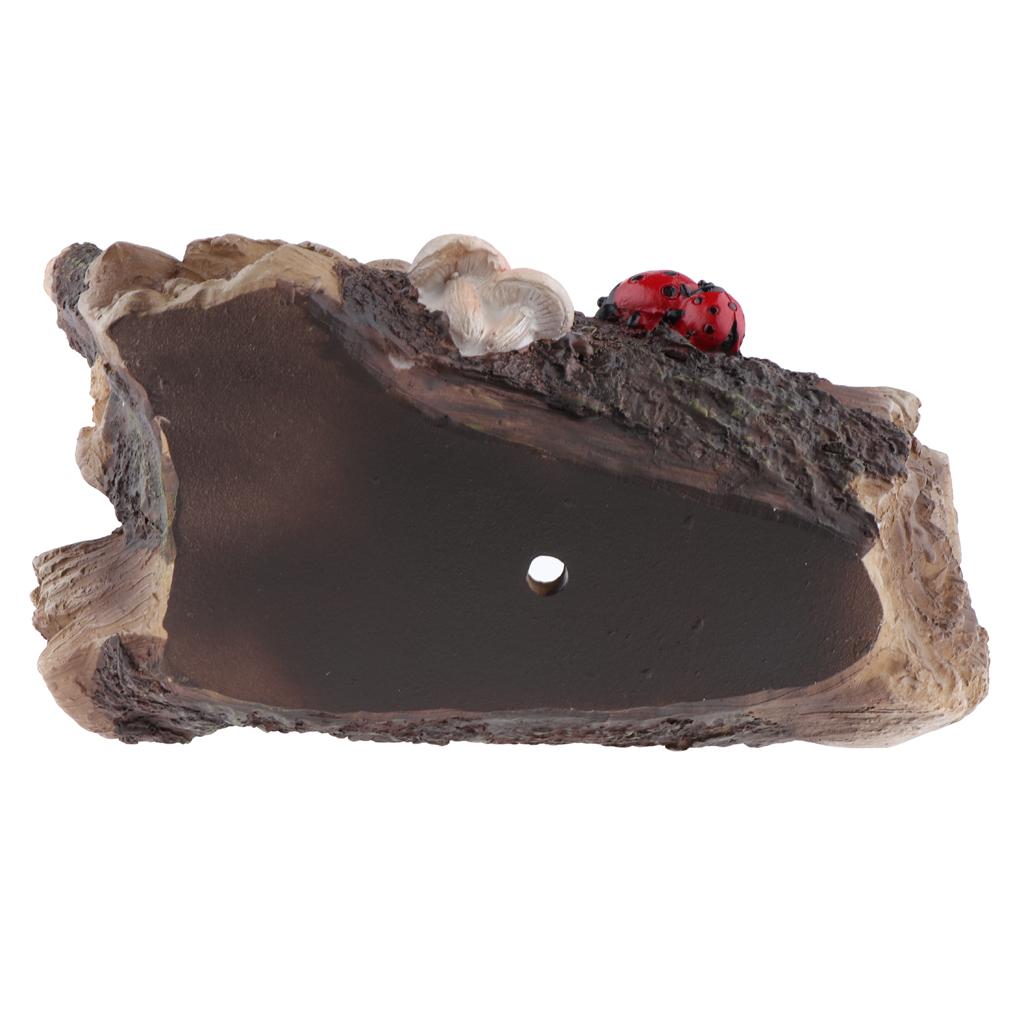 Flower Plants vase Original Cute Succulent Plants Planter Flower Plants vase Original Cute Succulent Plants Planter