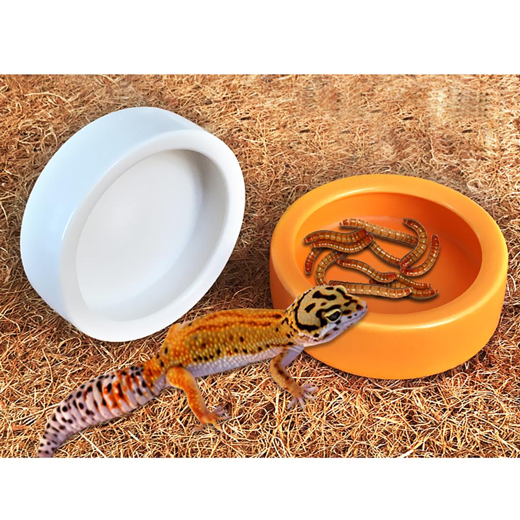 2Pcs Smooth Ceramic Antiescape Worm Dish for Reptile Feeding Food