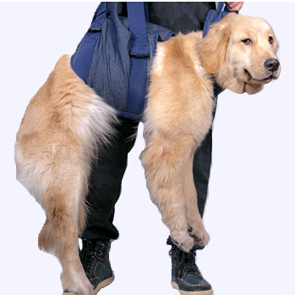 Hund Tragehilfe Gehhilfe Hebehilfe Hilfsgeschirr für ältere, behinderte