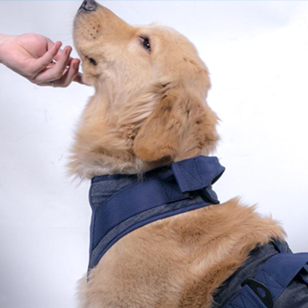 Hund Tragehilfe Gehhilfe Hebehilfe Hilfsgeschirr für ältere, behinderte