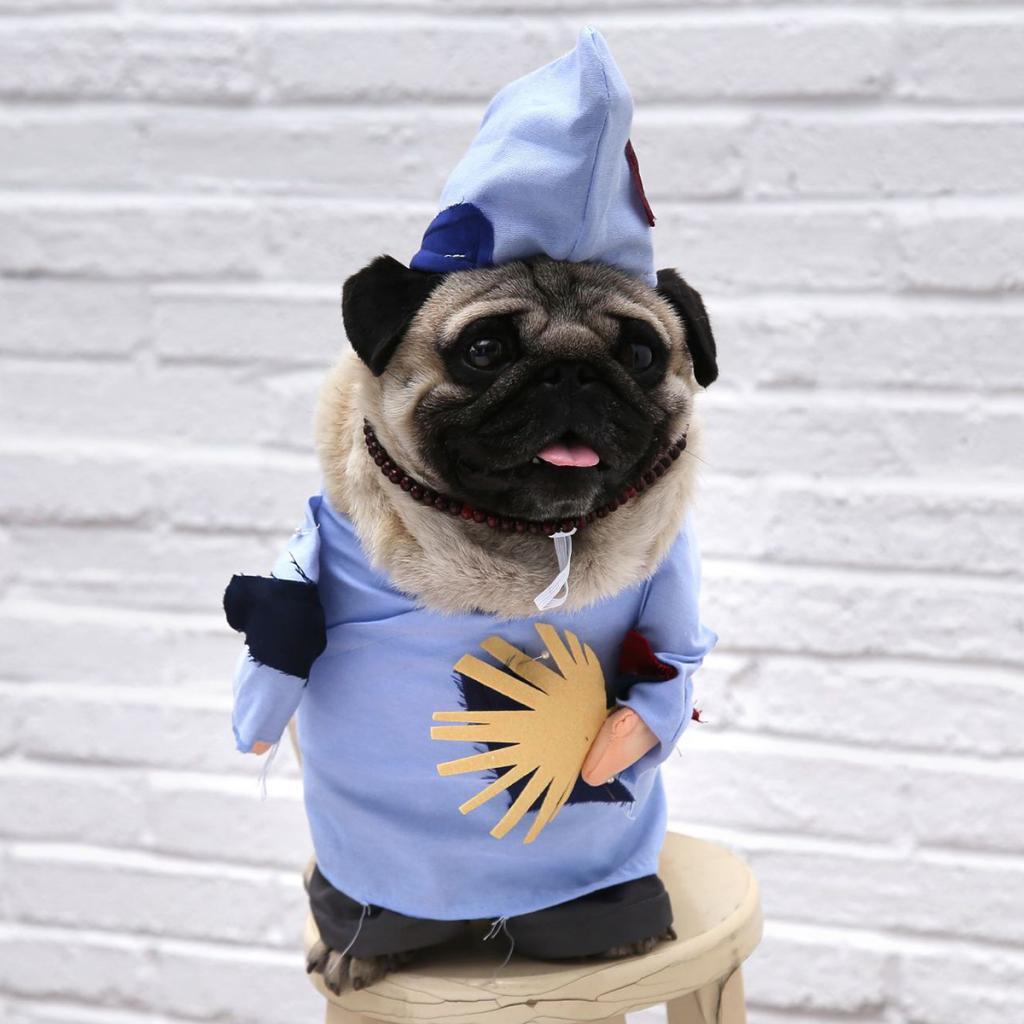 Novelty Creative Jigong Dog Costume Holiday Halloween Party Dress Up Clothes L