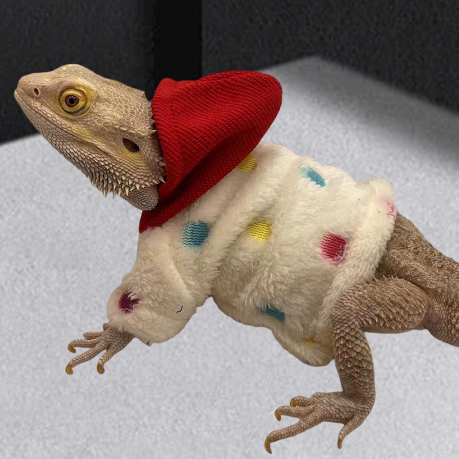 Lizard Clothes Geckos Crested Lizard Party Costume for Photos Party Festival