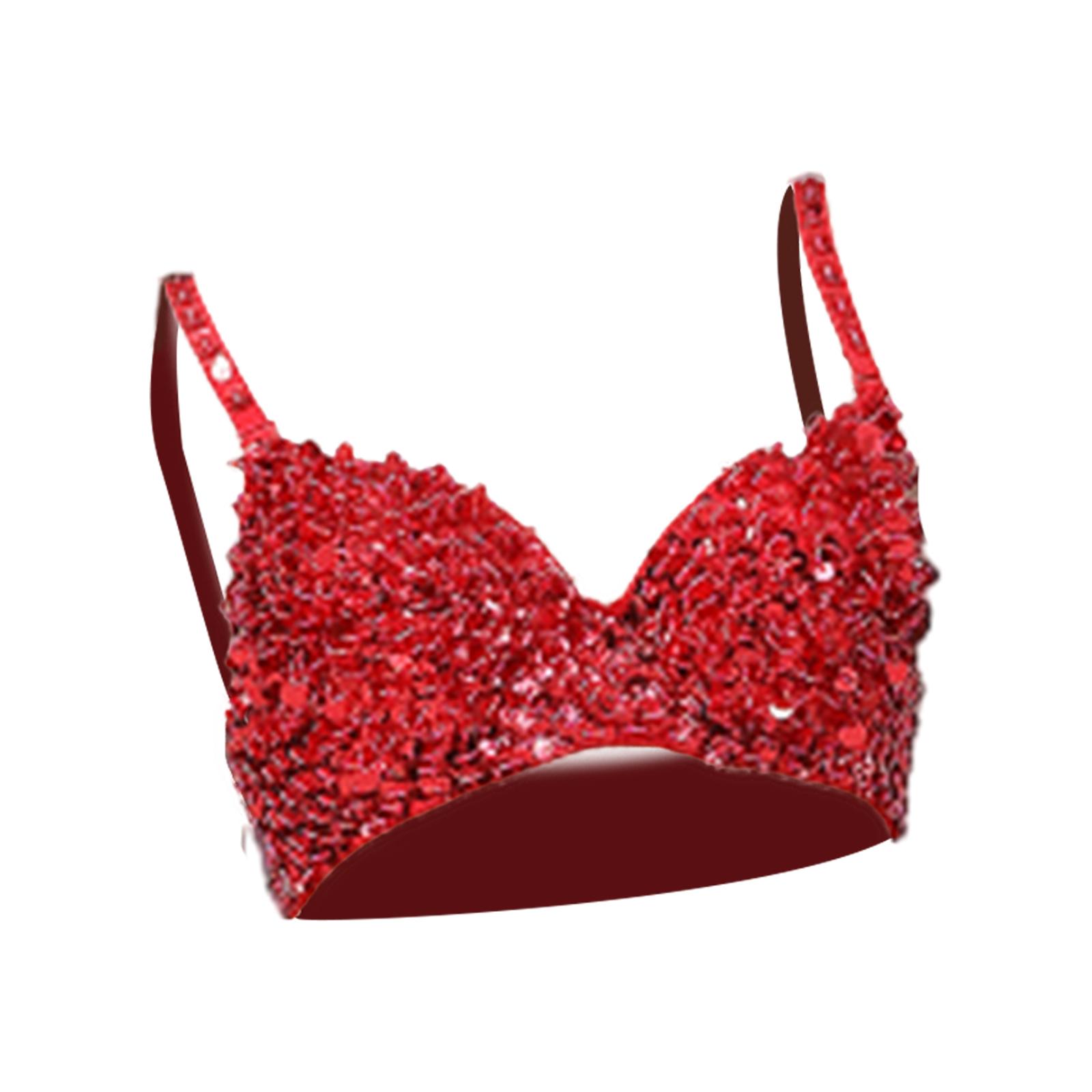 Sequin Corset Crop Top