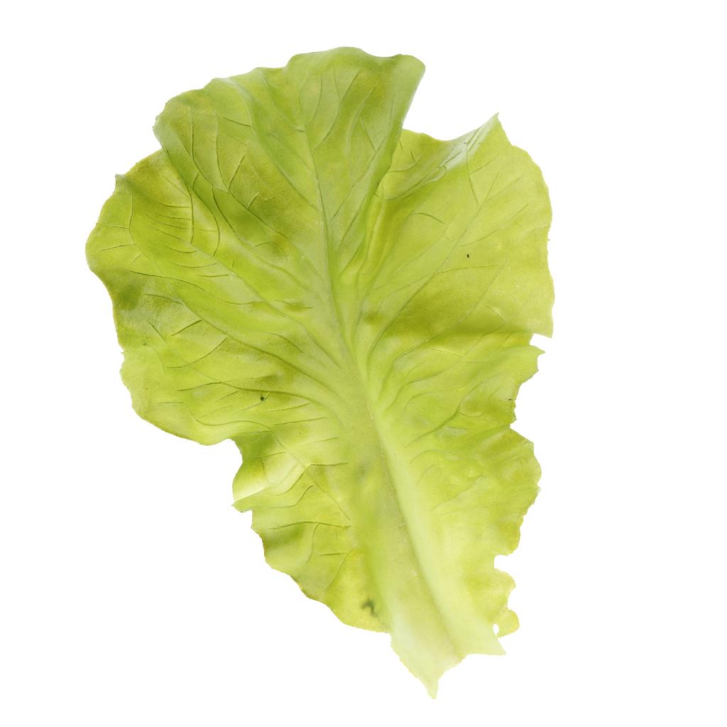 3xArtificial Lifelike Fake Vegetable Lettuce Model Decoration Learning Props