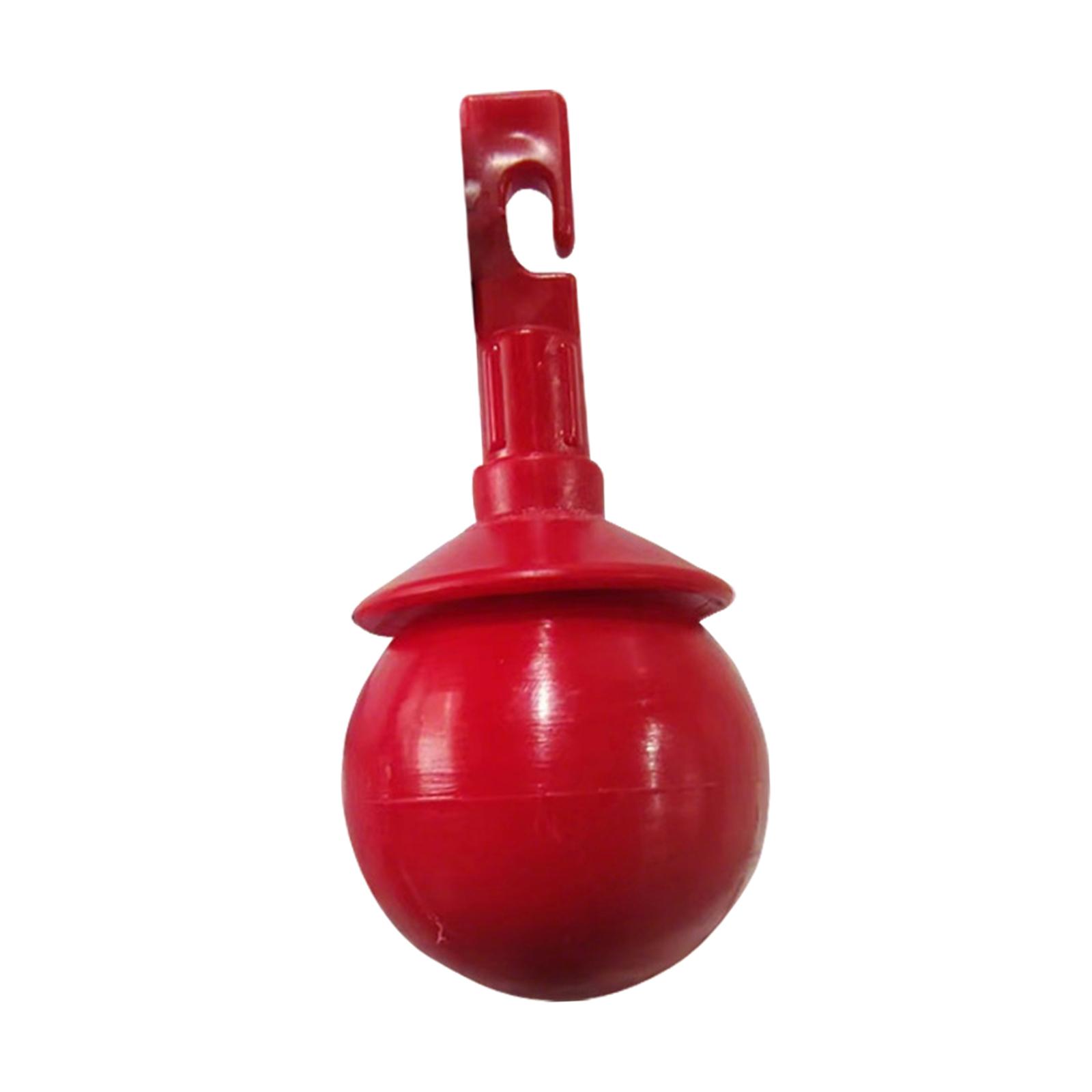 Cane Tip With Hook