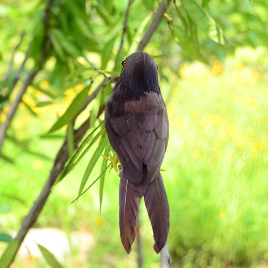 Lifelike Perched Woodland Birds Artificial Feathered Bird Crafts Decor #4