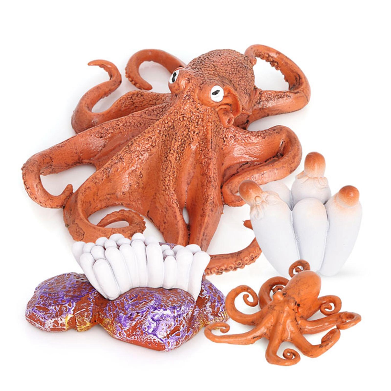 Lifelike Octopus Life Cycle Growth Model Child Early Education Teaching Toy