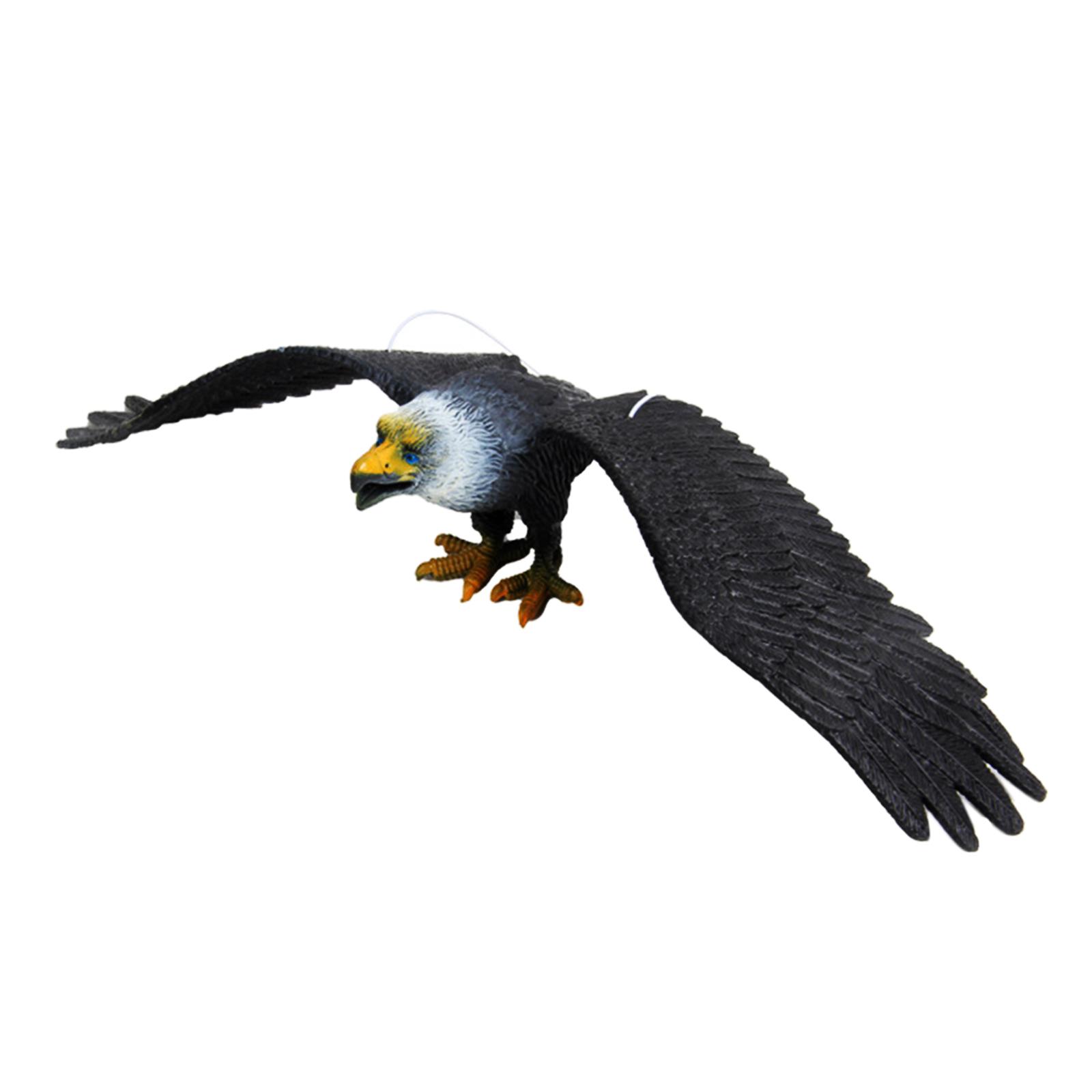 Eagle Model Black