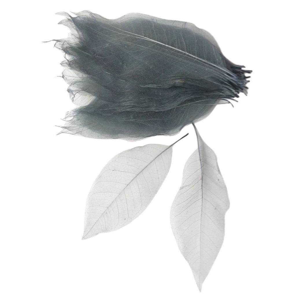 2x100 Pieces Natural Magnolia Skeleton Leaf Leaves Scrapbooking Grey White