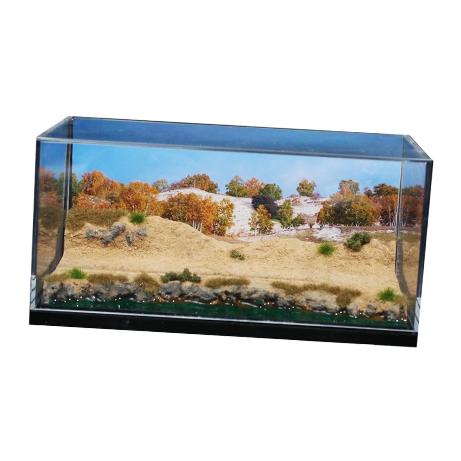 Desert Scene Diorama