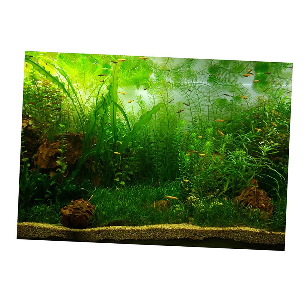 PVC Aquarium Background Poster,Fish Tank Plants Landscape Waterproof 61x30cm