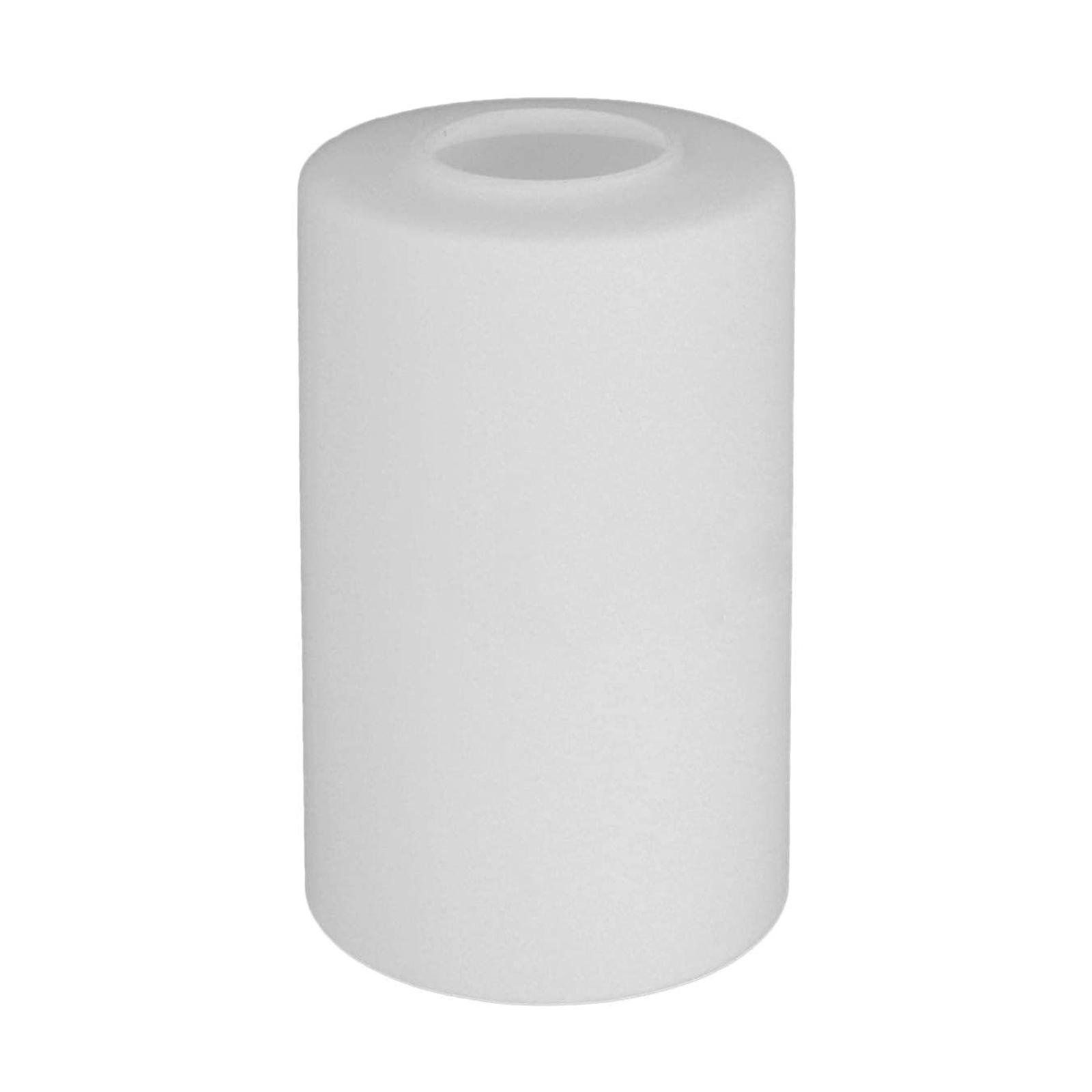 Ceiling Fan Glass Shade