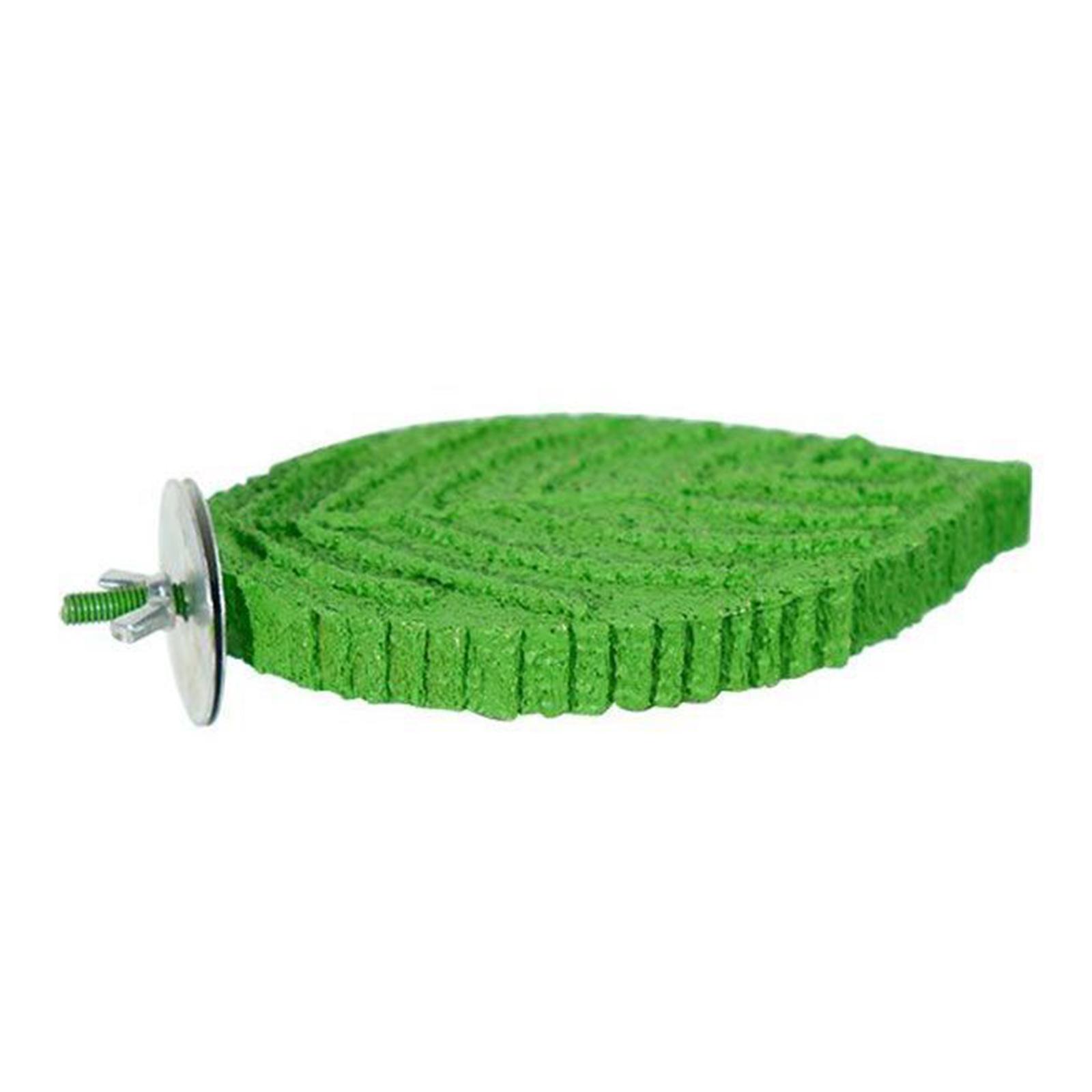 Parrot Perch Grinding Stand