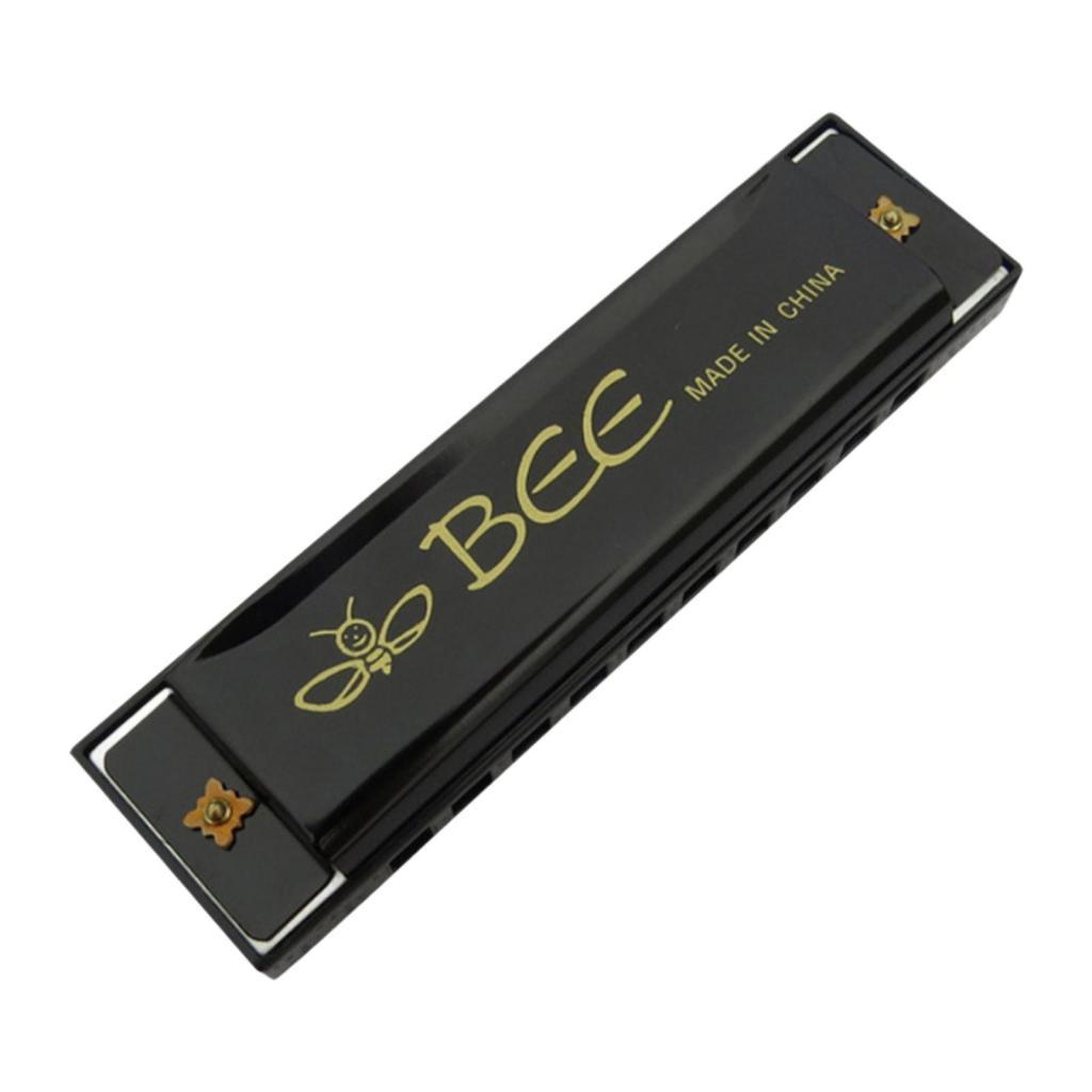 20 Hole C Key Harmonica Mouth Organ Musical Instrument Gift Black