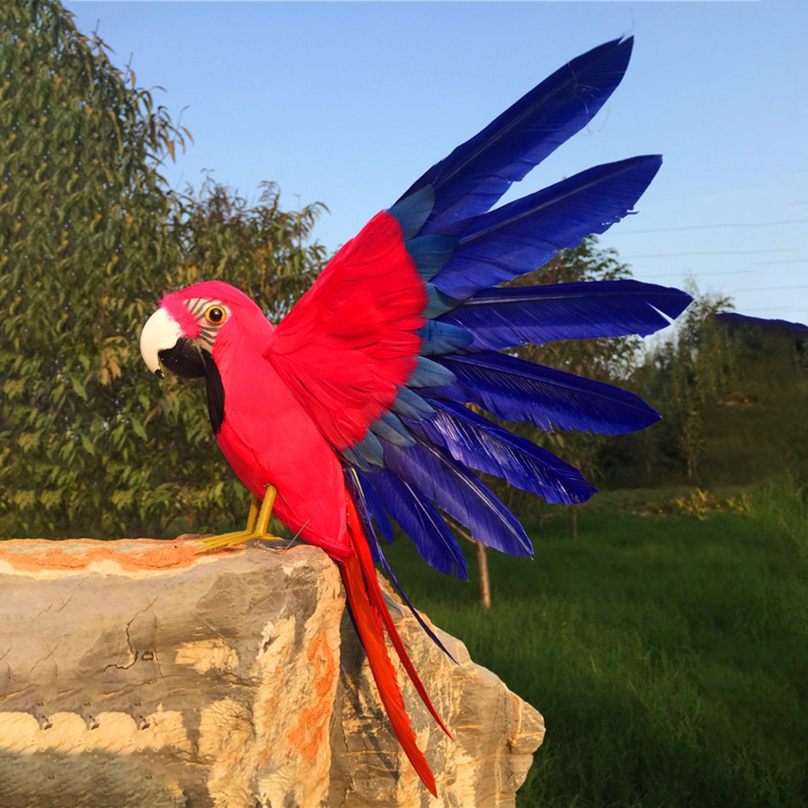 Handmade Artificial Parrot Model Feather Ornament for Home Garden  Style C