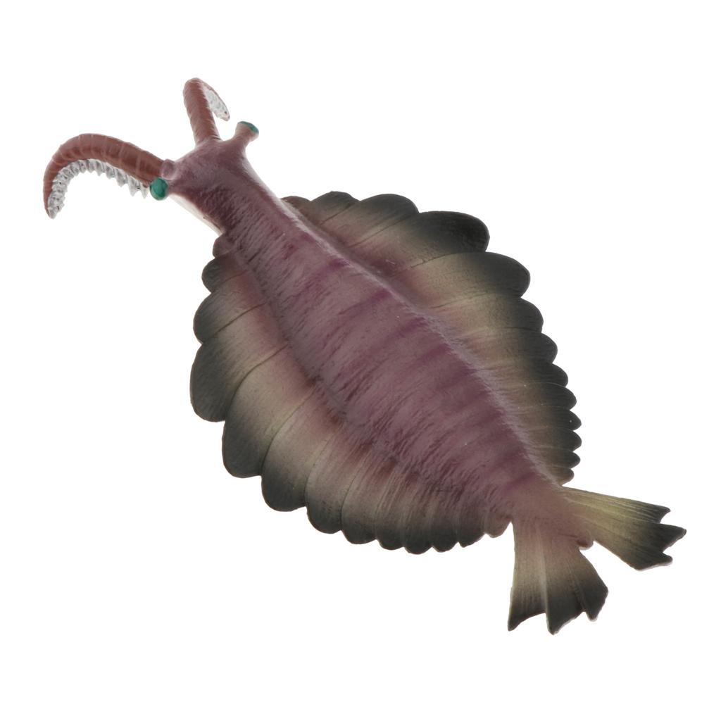 Realistic Static Ocean Animal Model Toy Kids Gift Anomalocaris