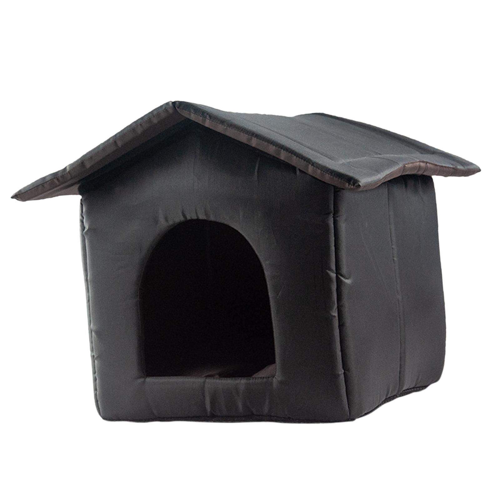 Stray Cats Shelter