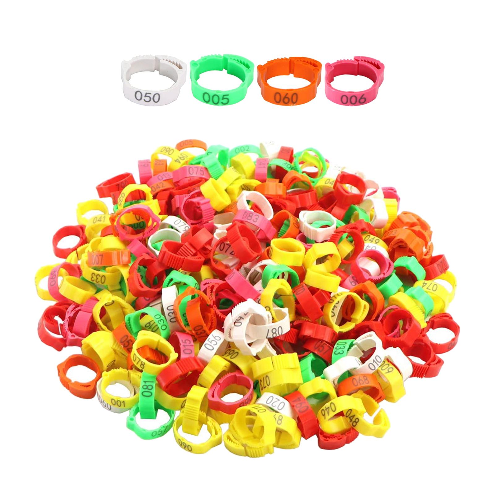 Poultry Foot Bands 100Pcs