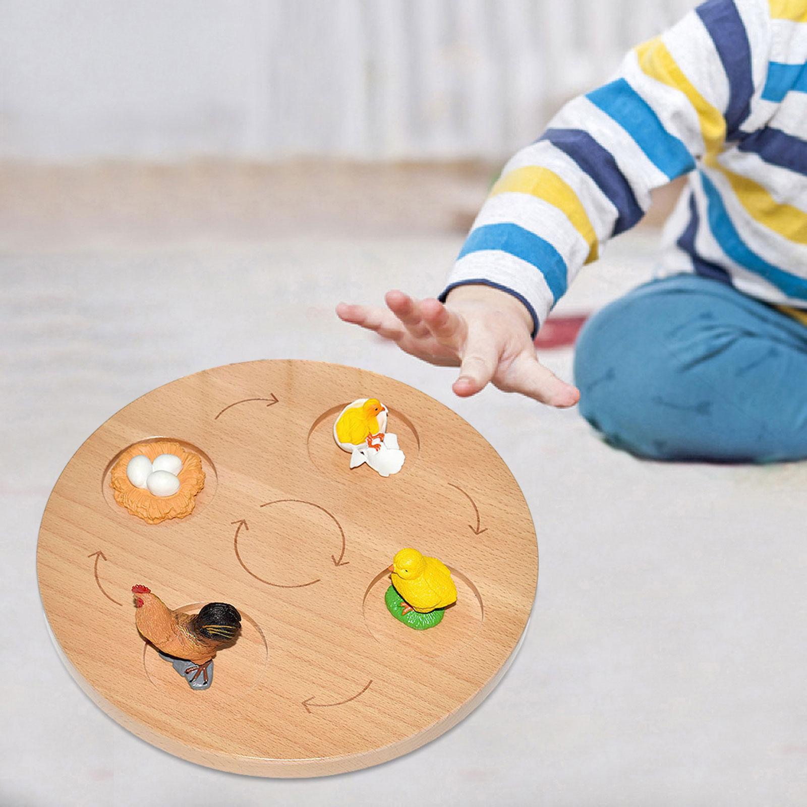 Life Cycle Board Teaching Aids Puzzle Birthday Gifts Preschool Cognitive Toy hen