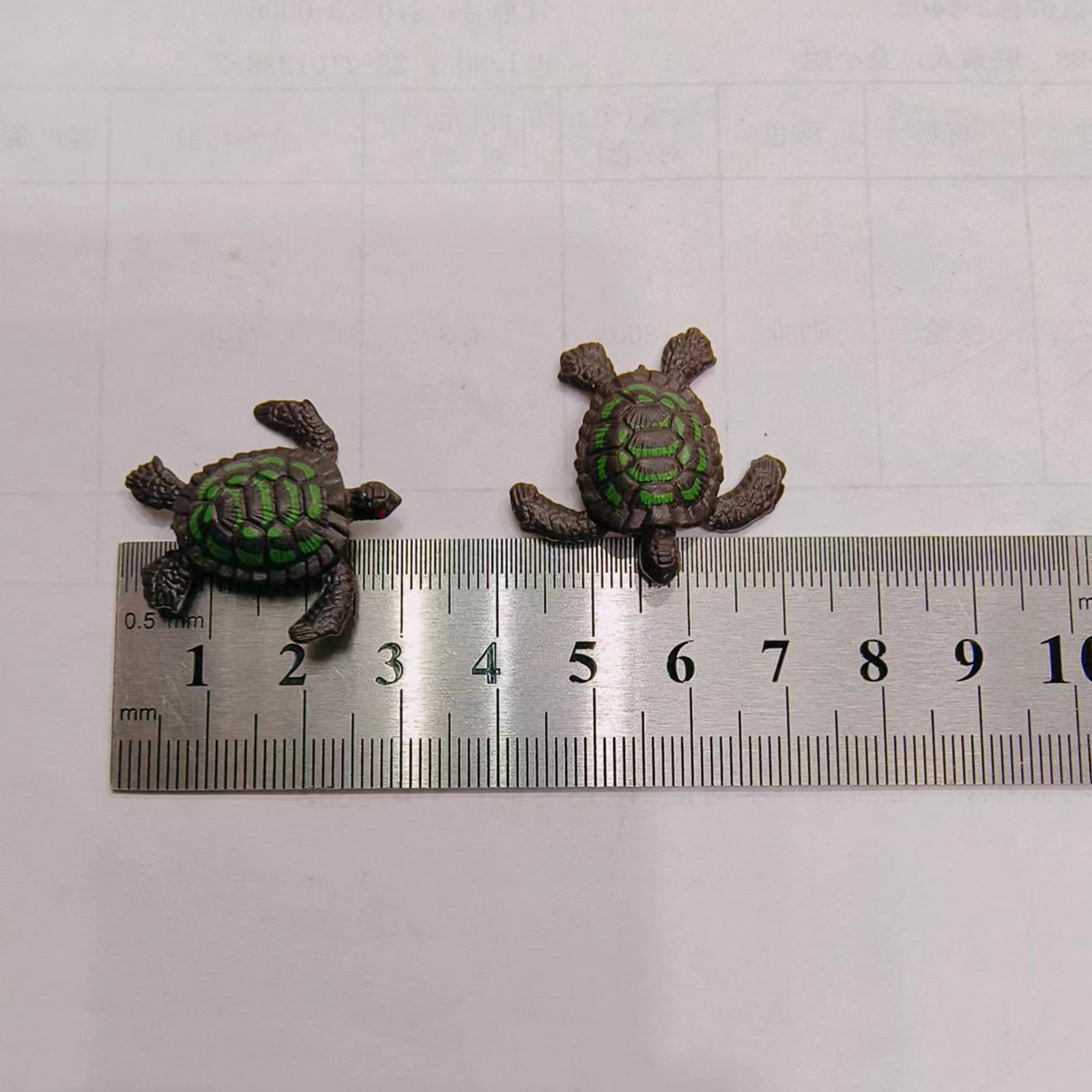 3x12 Pieces Simulation Turtle Model Figures Animal Figurine for Toddlers Girls