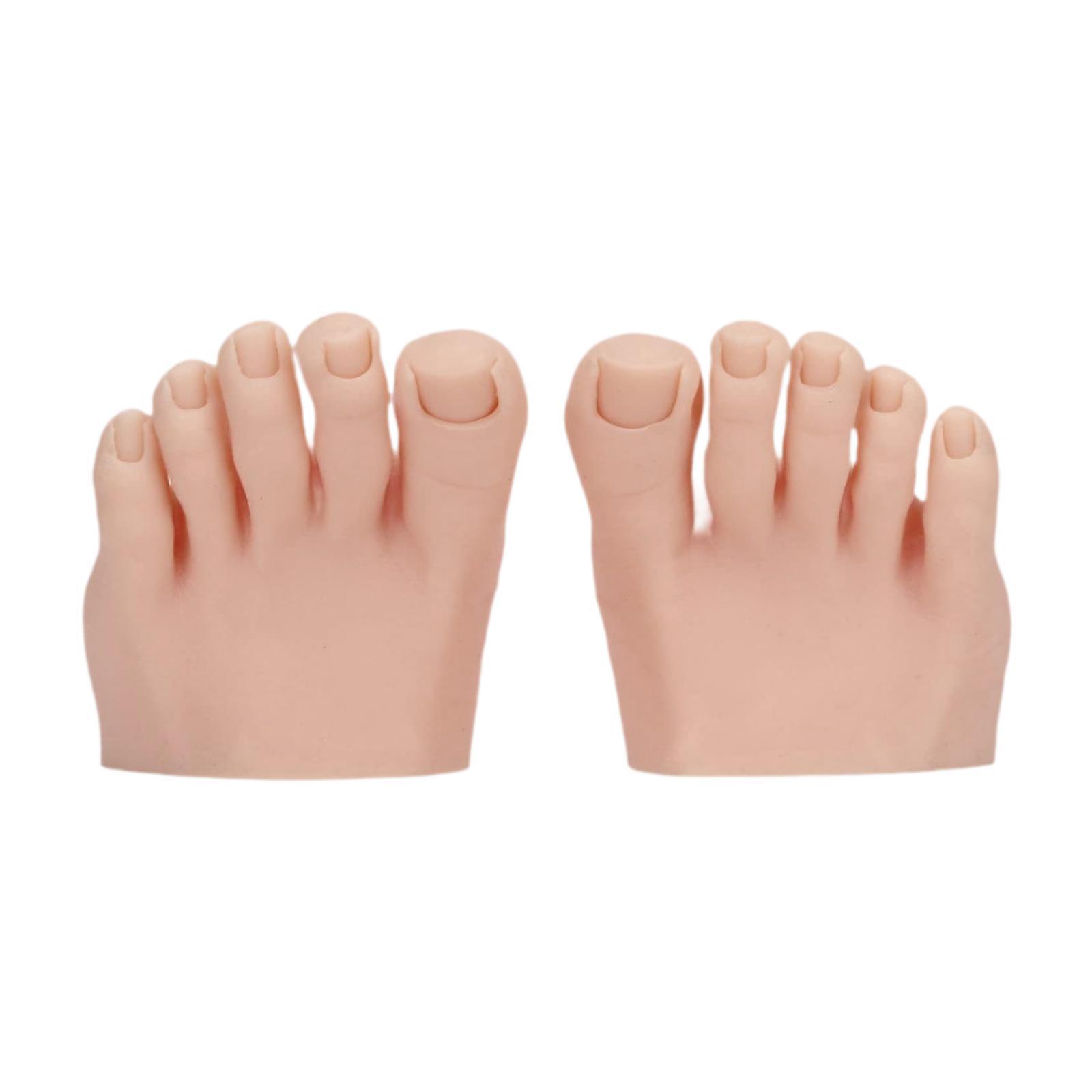 Fake Foot Model
