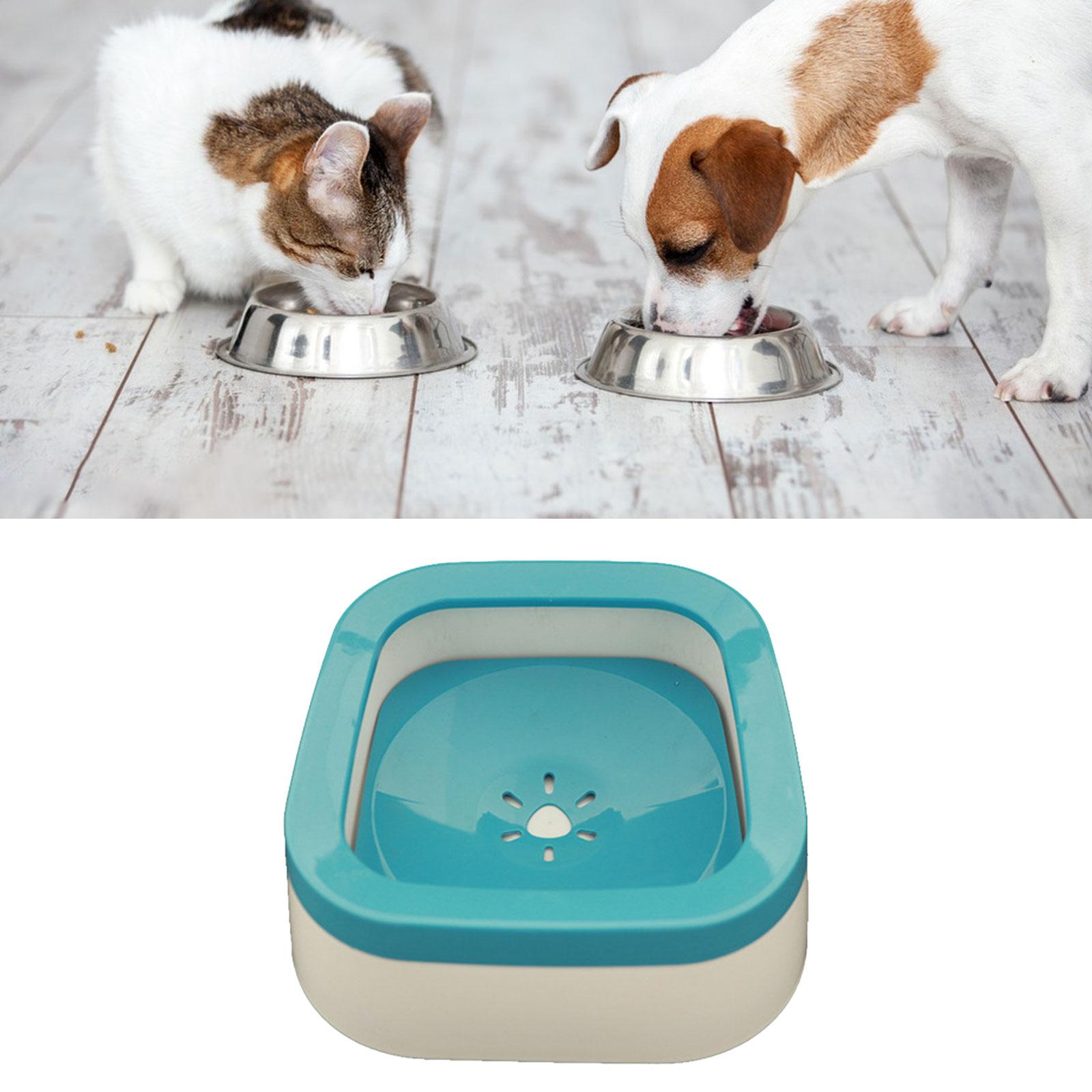 Cat Bowls Large Capacity Water Fountain Drinker Automatic 1L Water Dispenser Blue 