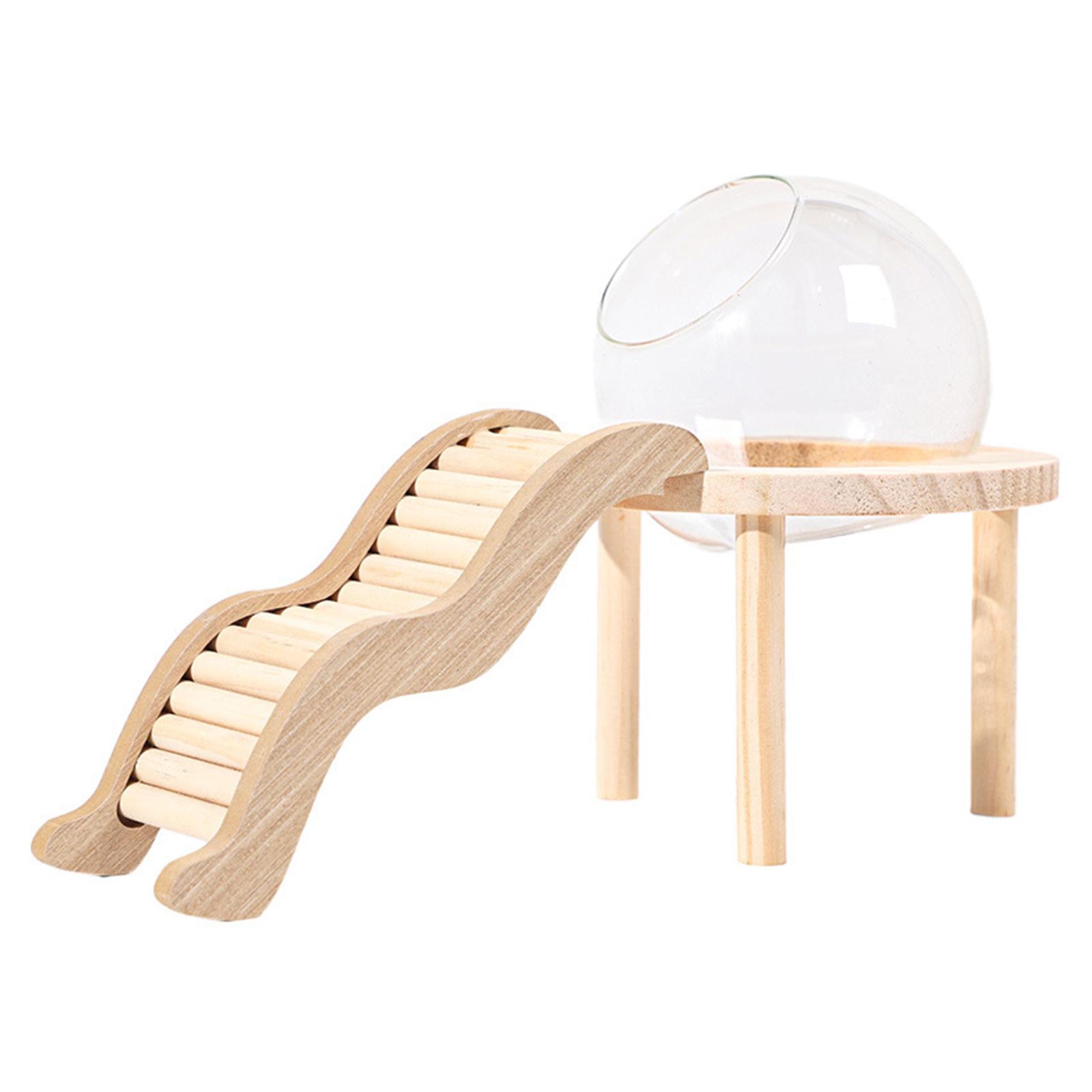 Hamster Sand Bath Container