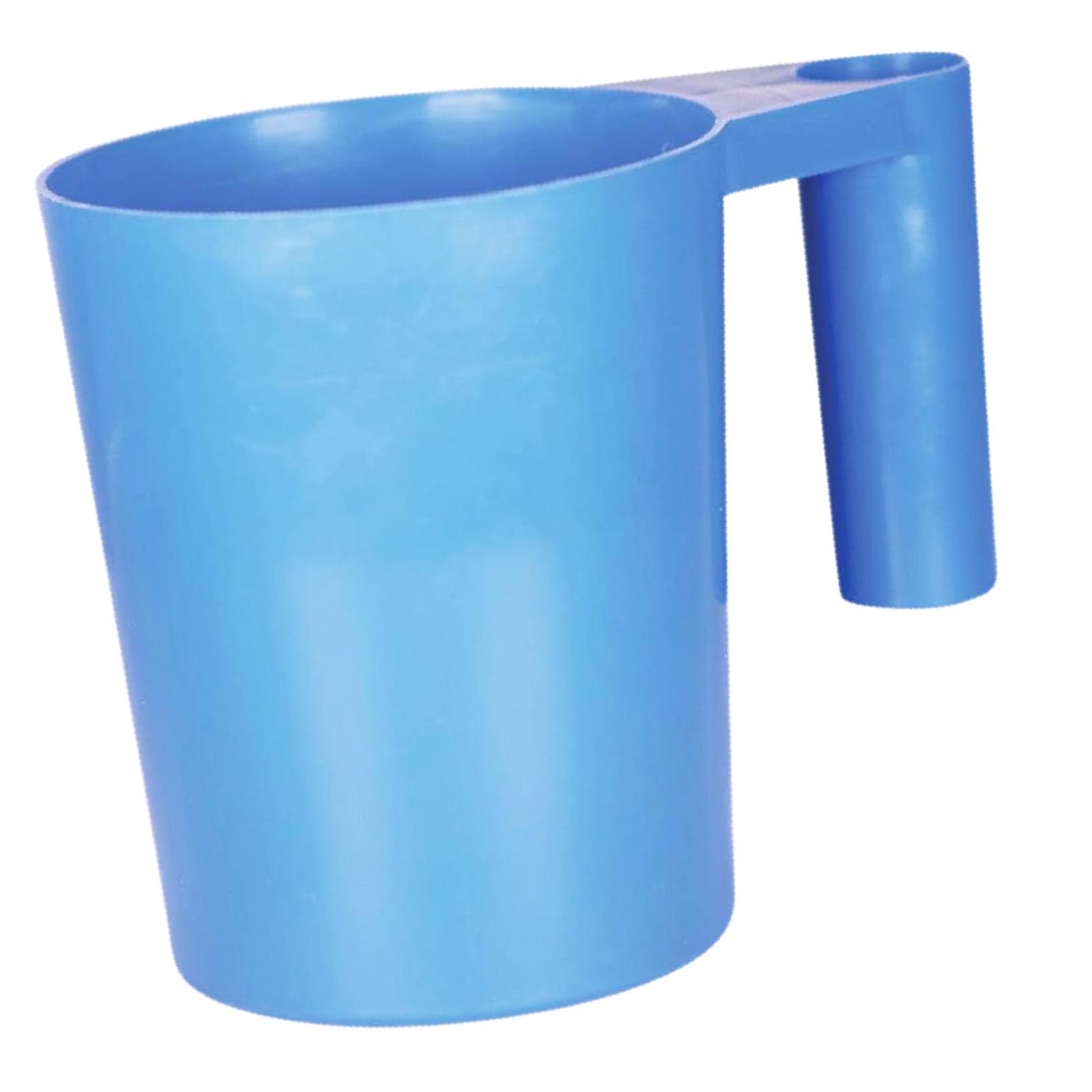 Pool Scoop With Handle