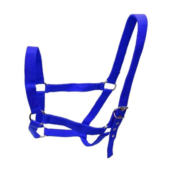Horse Halter PP Webbing