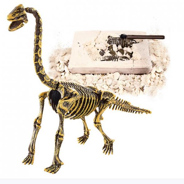 3D Dinosaur Model Archaeological Excavation Toys Educational Toys B