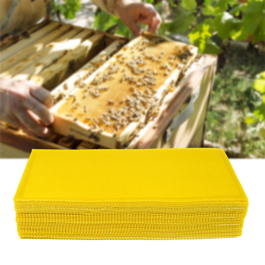 30x Beeswax Sheets Bee Hive Honeybee Wax Sheet Candle Beekeeping Tool