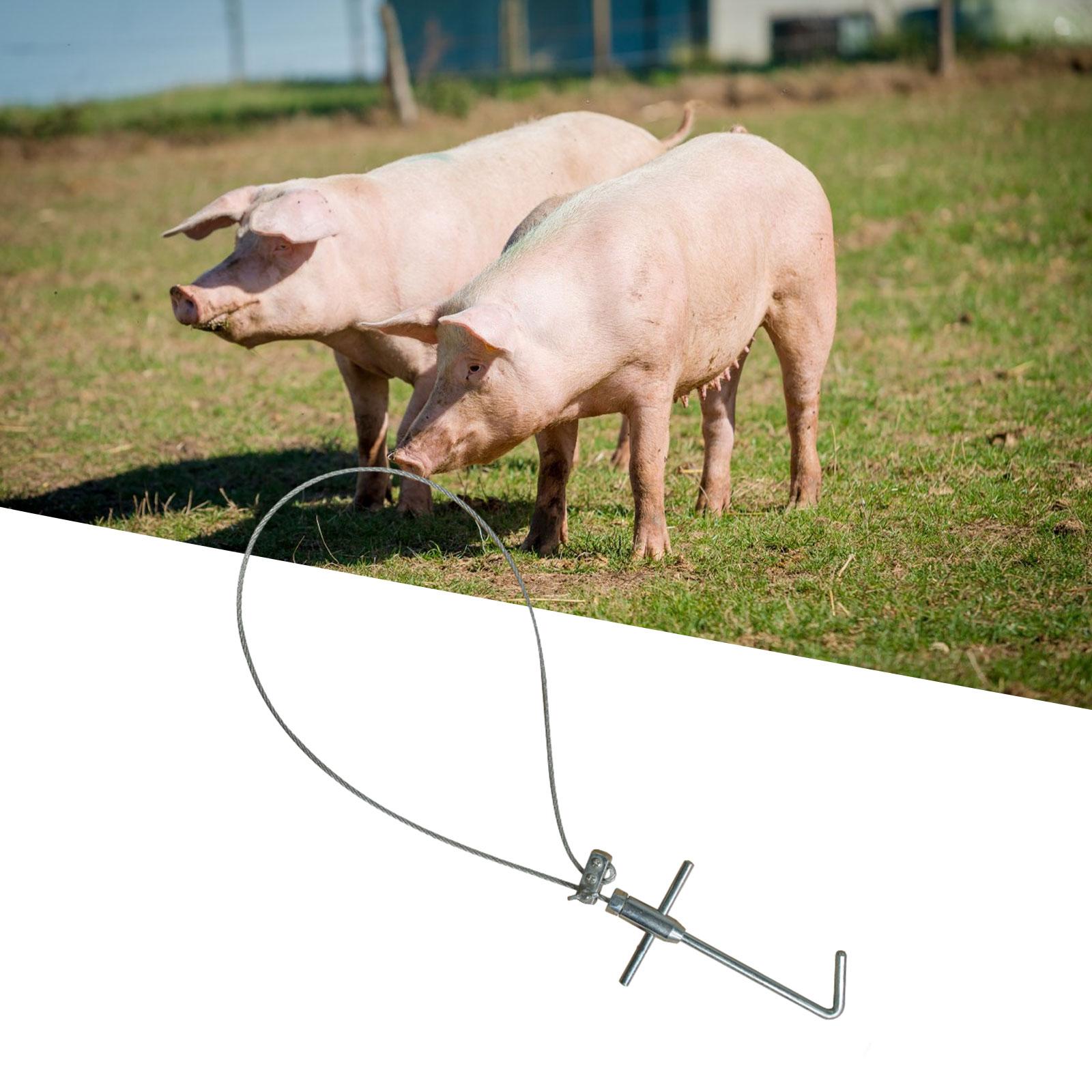 Pig Holder Catcher Adjustable Length Catcher Tool for Livestock Dogs Animals