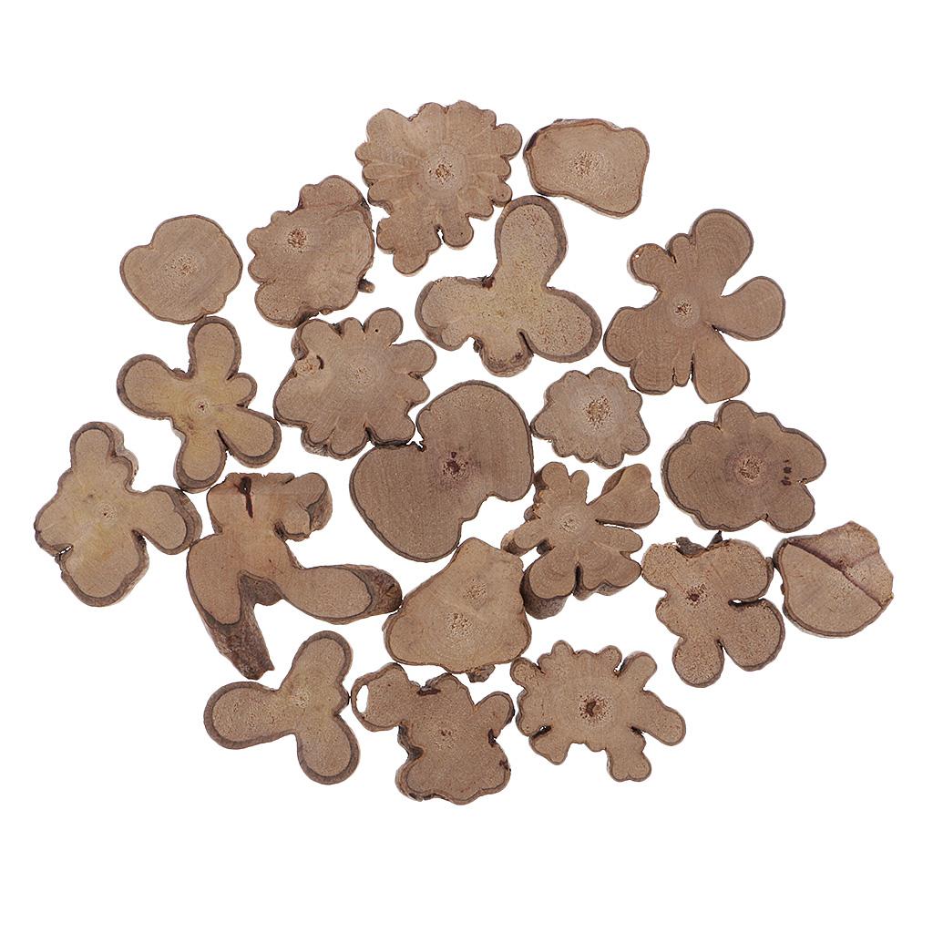 20 Pieces Irregular Natural Tree Wood Slices