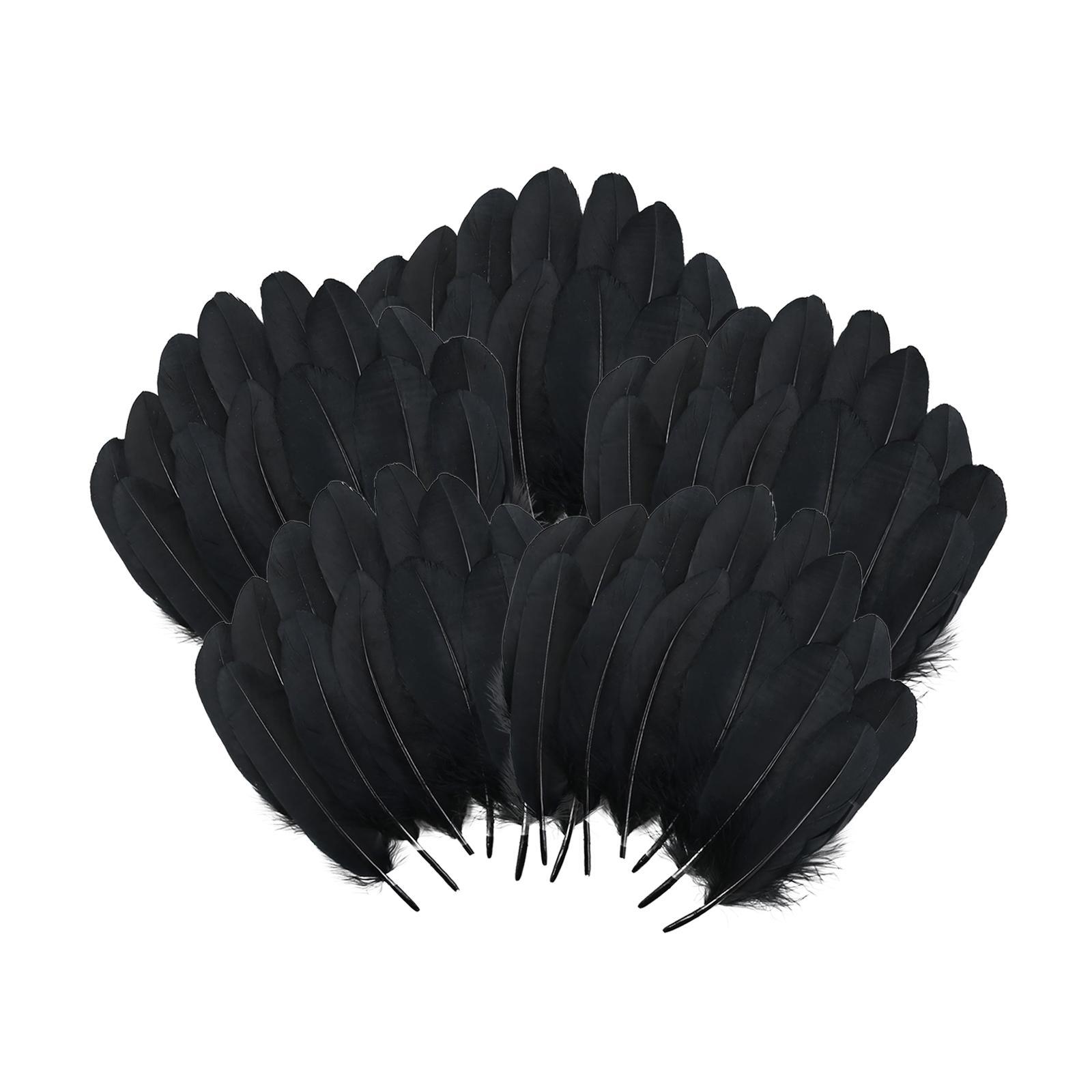 Craft Feathers Black