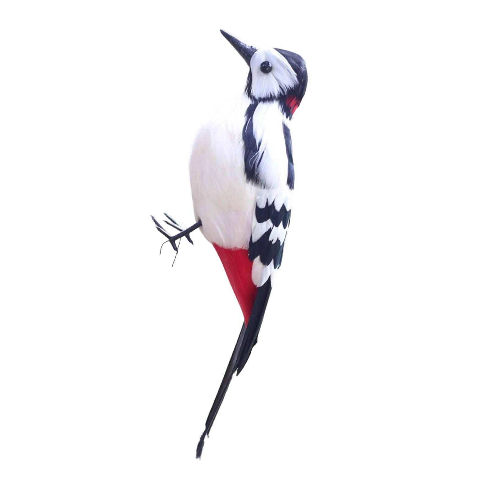 Woodpecker Model