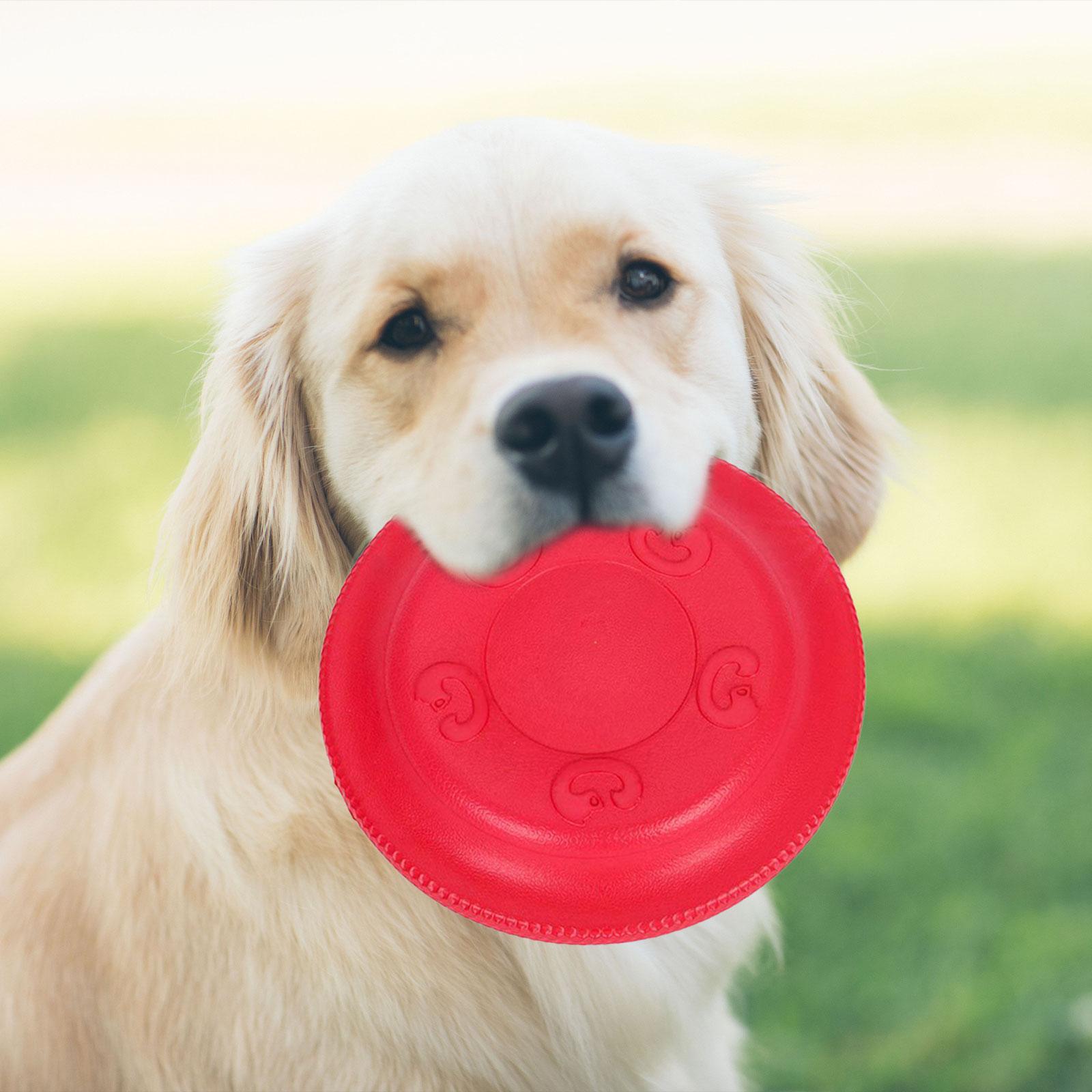 Dog Flying Lightweight Reusable Chew Resistant Training Toy Dog Flying Disc