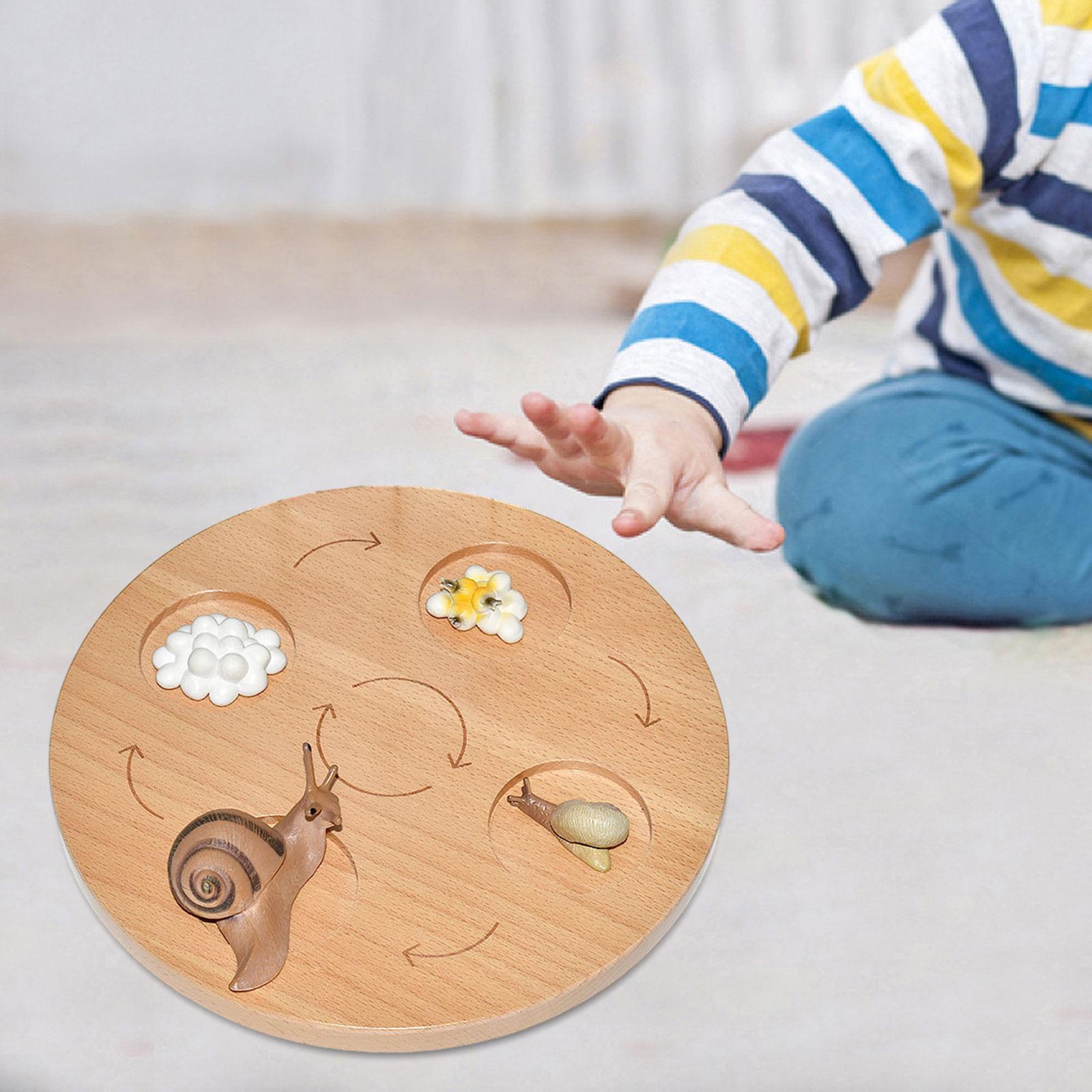 Life Cycle Board Teaching Aids Puzzle Birthday Gifts Preschool Cognitive Toy snails
