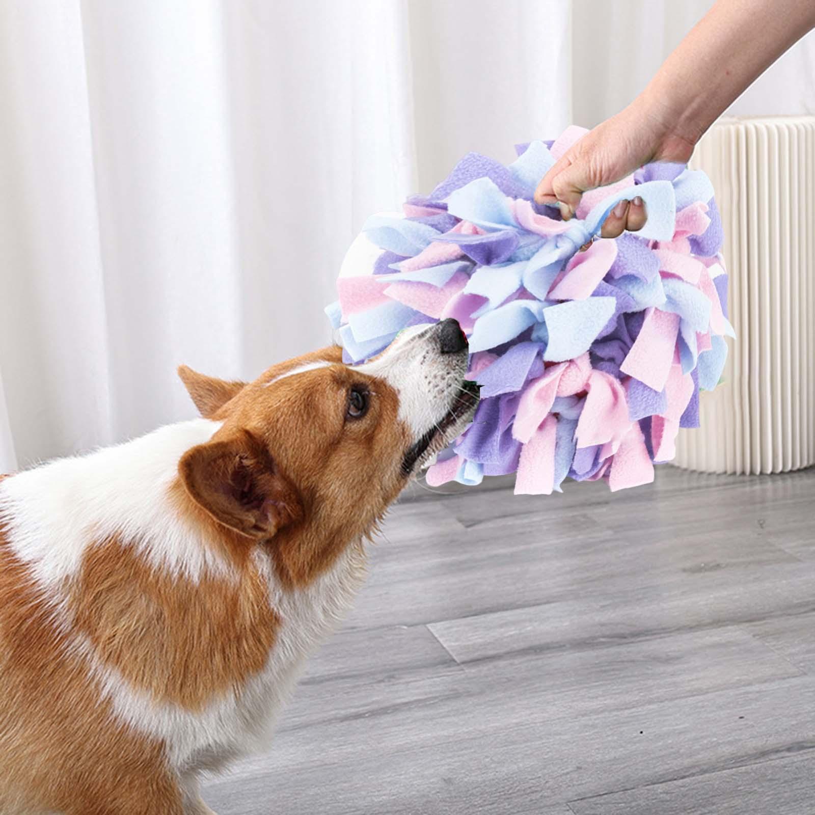 Sniff Ball Interactive Dog Toys Encourage Natural Foraging Skills Training