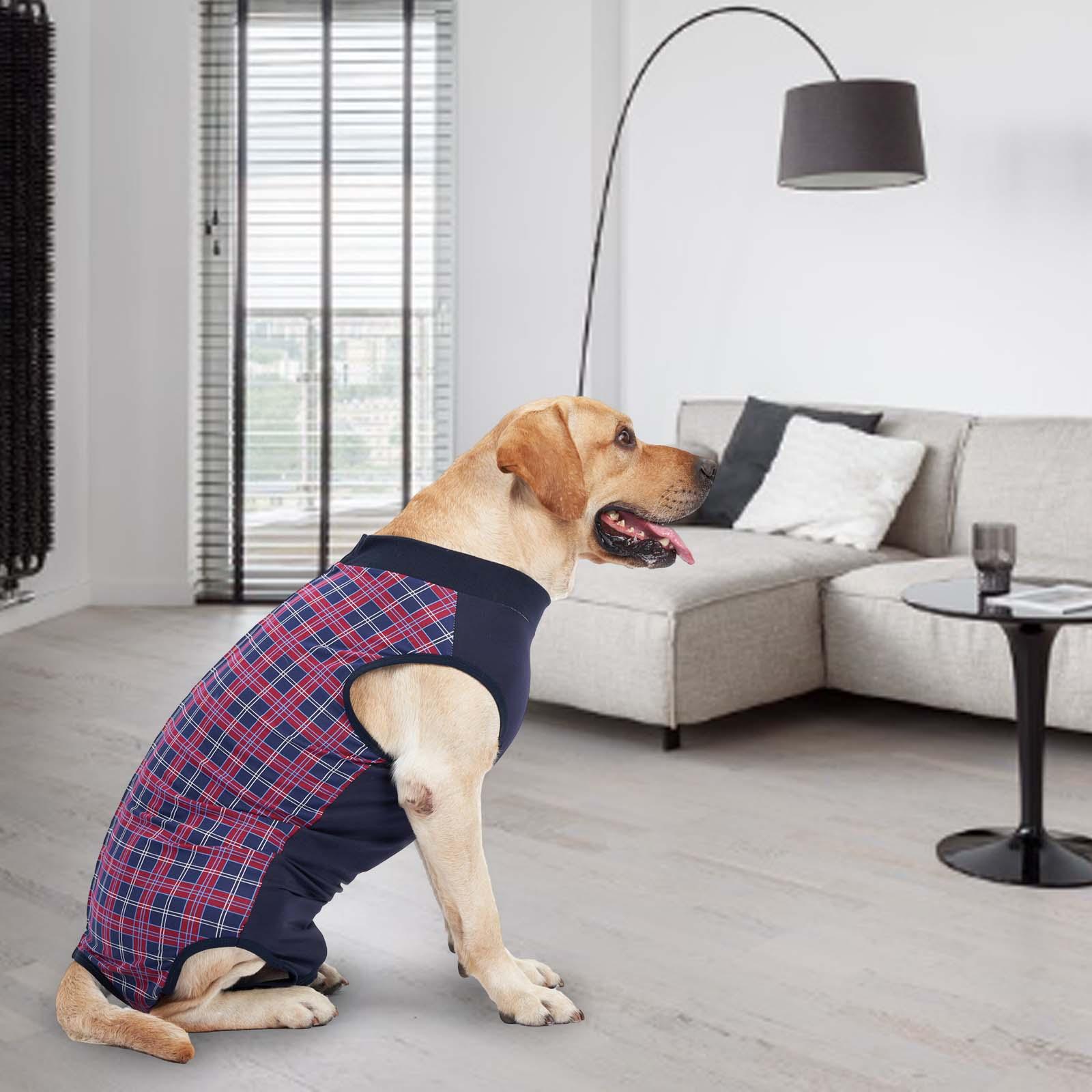 Dog Recovery Suit Breathable Outfits for Large Dogs Comfrotable Surgery Wear