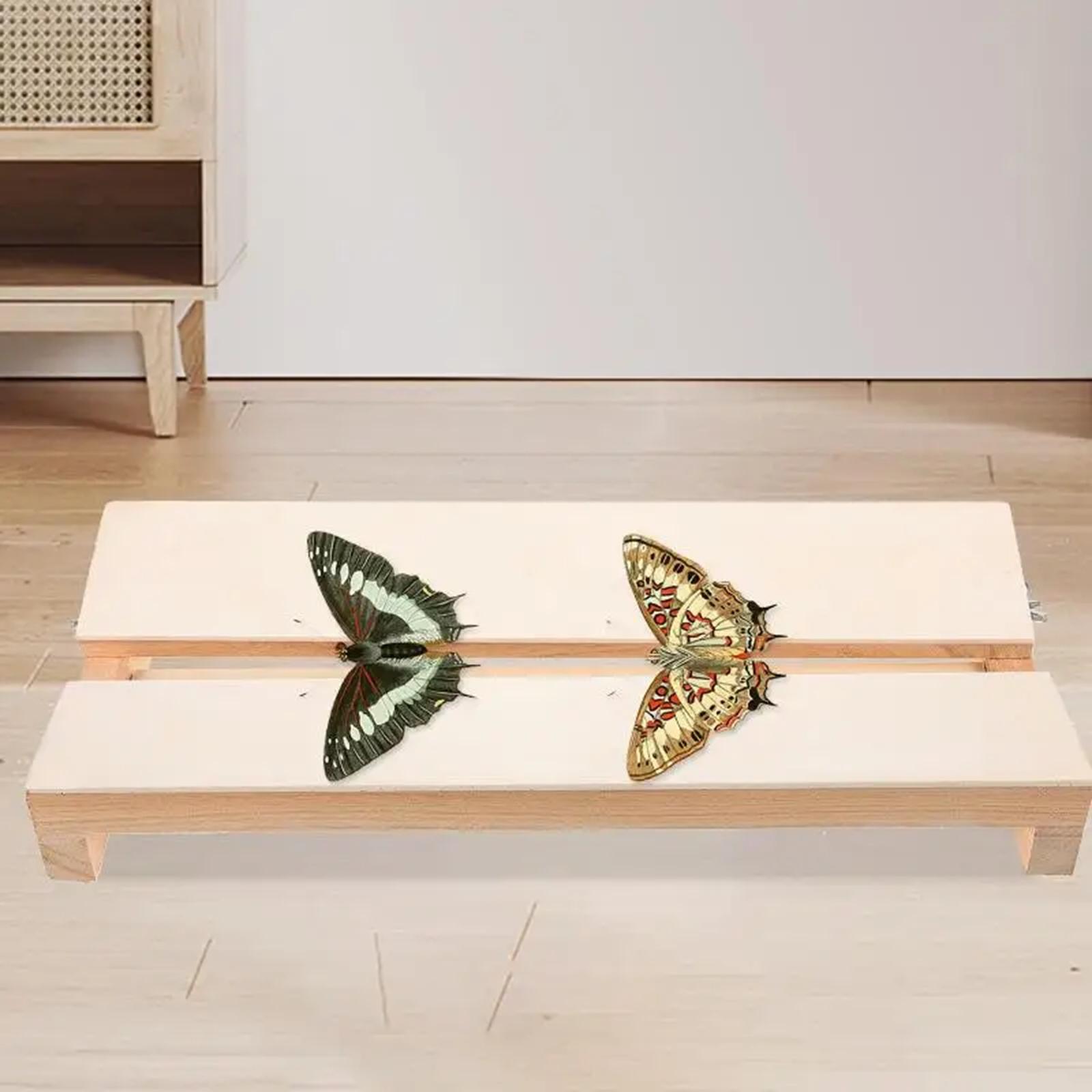 Butterfly Display Board Teaching Accessory for Children Teens