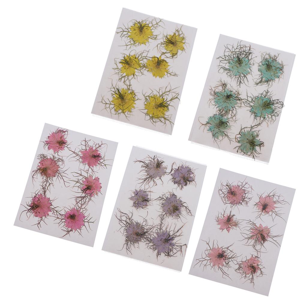 1 Set Natural Real Pressed Dried Flowers DIY Scrapbooking Card Yellow