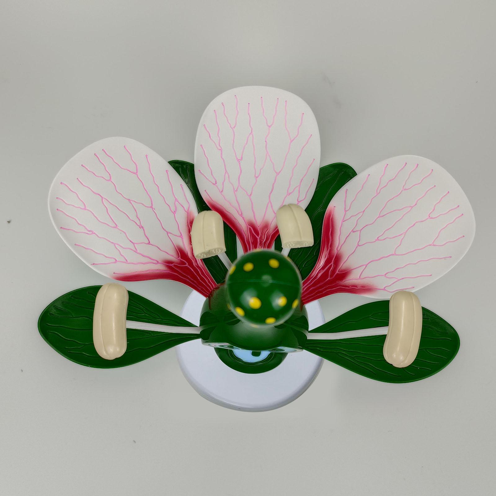 Dicot Flower Model Teaching Tools Lightweight Sturdy Practical Learning Toys