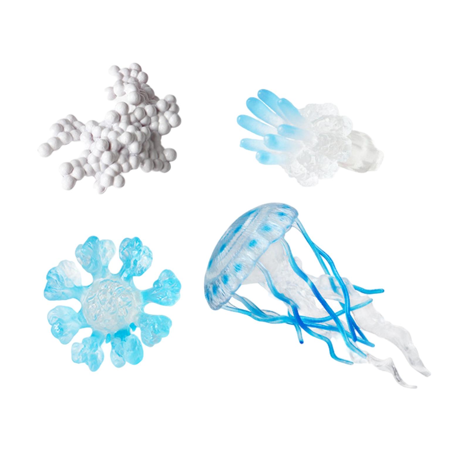 Jellyfish Growth Cycle Figures Blue